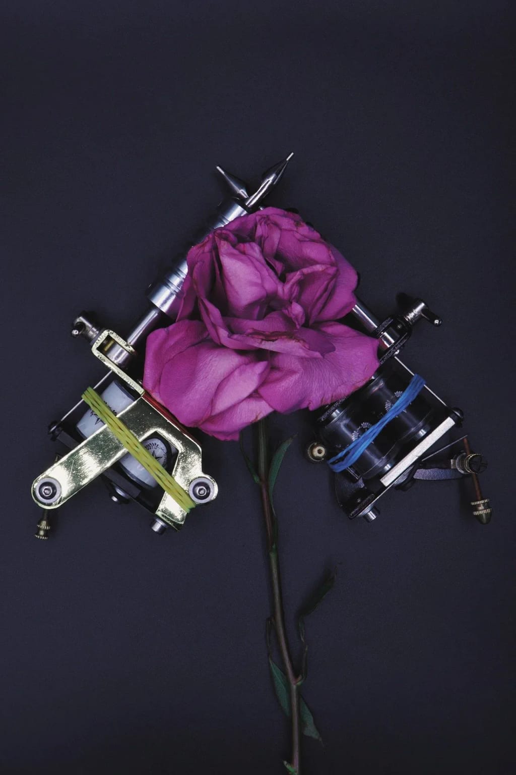 Welcome to My New Website